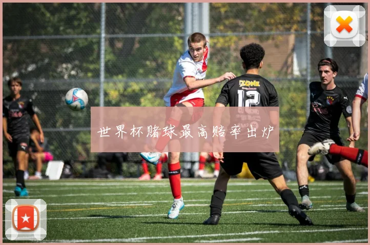 世界杯赌球最高赔率出炉