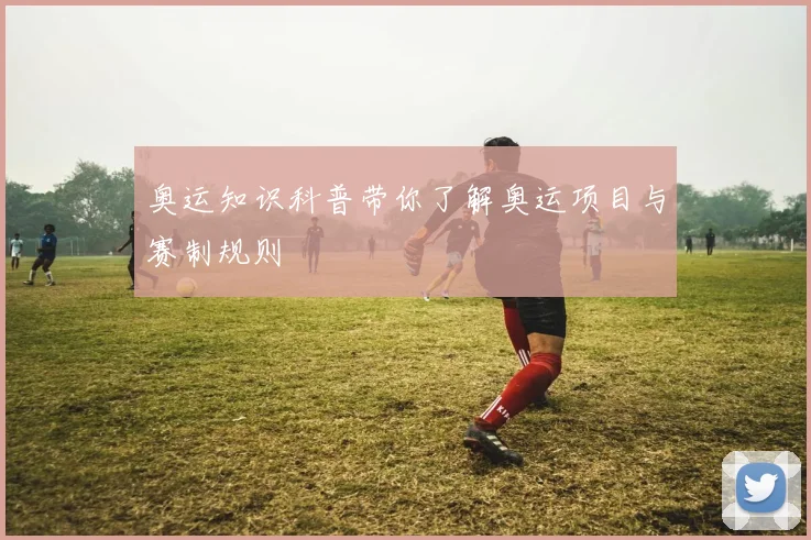 奥运知识科普带你了解奥运项目与赛制规则