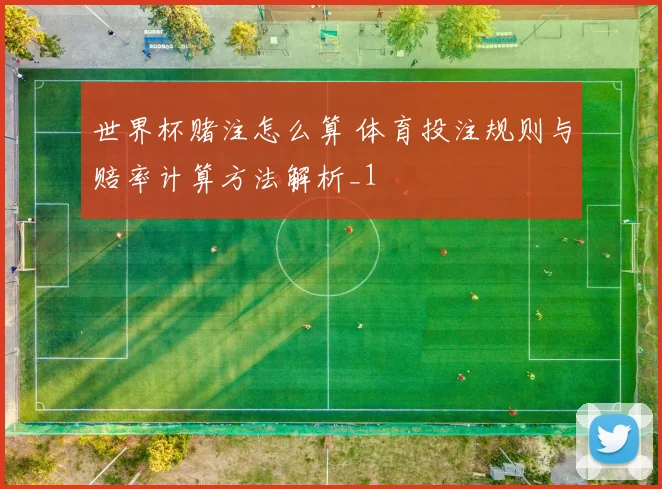 世界杯赌注怎么算 体育投注规则与赔率计算方法解析_1