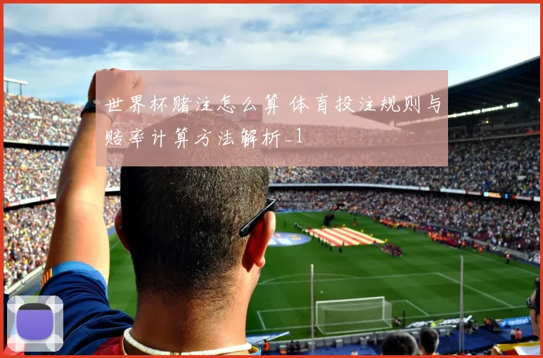 世界杯赌注怎么算 体育投注规则与赔率计算方法解析_1